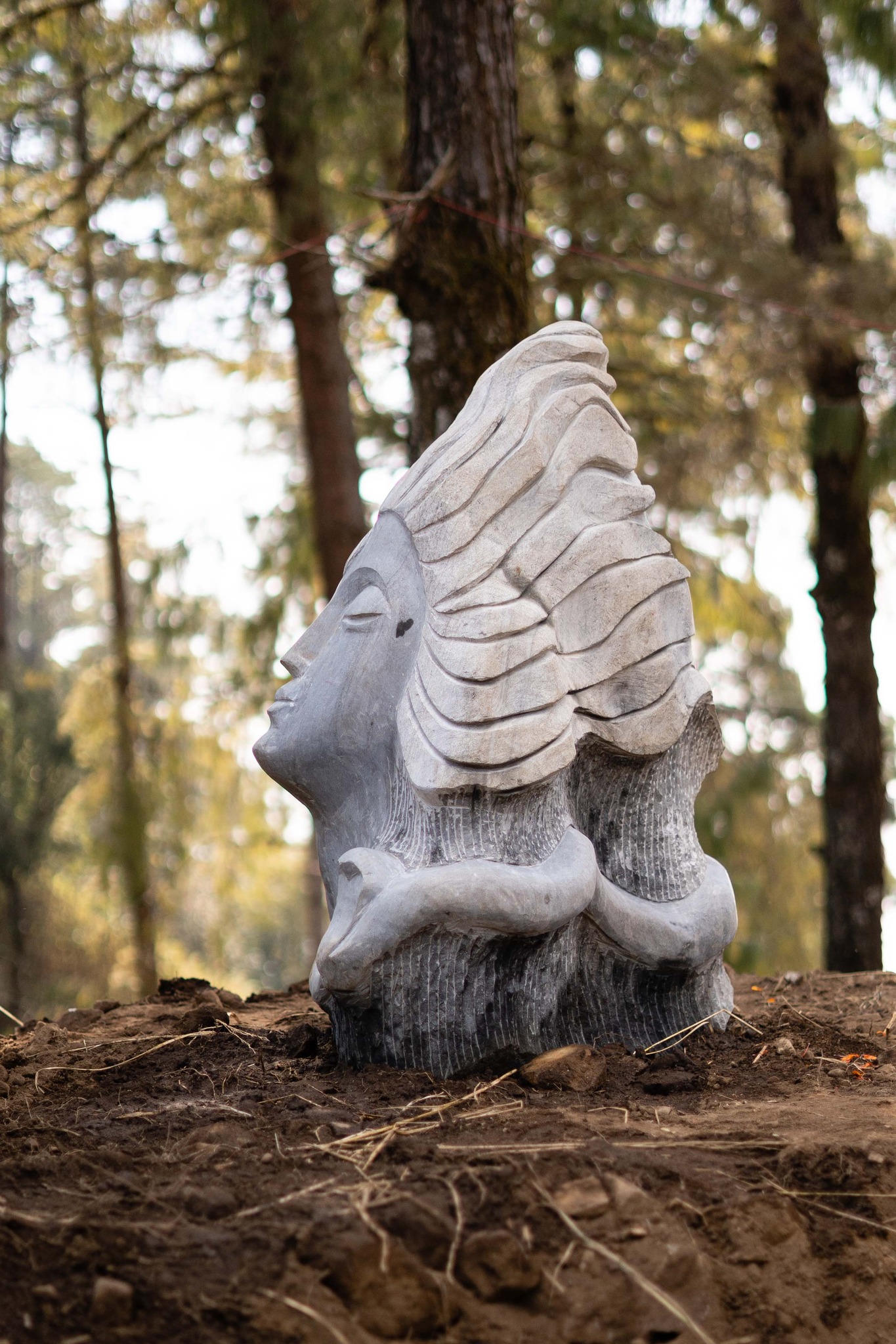 Purbha Dhoka Mohamai Project - NIS 2024